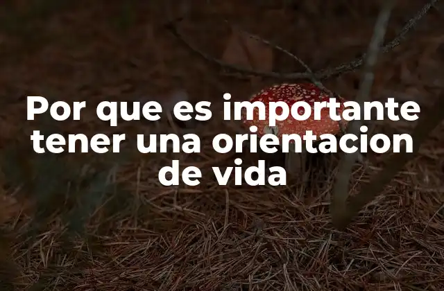 Por que es Importante Tener una Orientacion de Vida