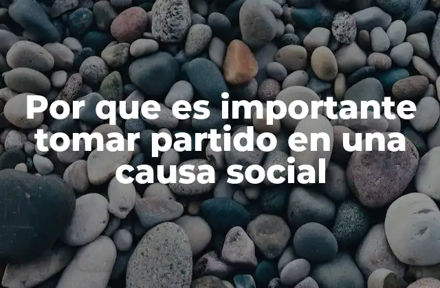 Por que es Importante Tomar Partido en una Causa Social
