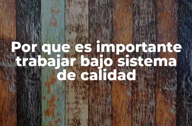 Por que es Importante Trabajar bajo Sistema de Calidad