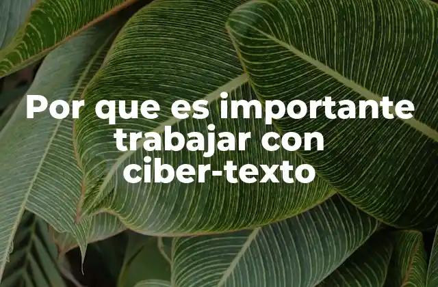Por que es Importante Trabajar con Ciber-texto