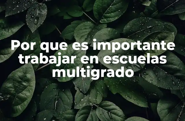 Por que es Importante Trabajar en Escuelas Multigrado