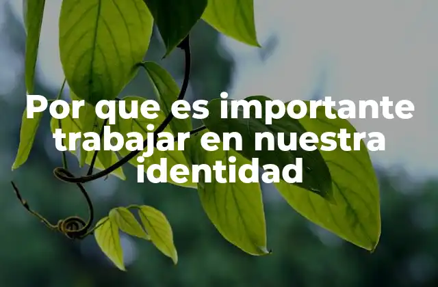 Por que es Importante Trabajar en Nuestra Identidad