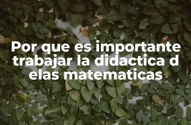 Por que es Importante Trabajar la Didactica D Elas Matematicas