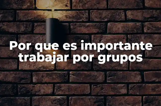 Por que es Importante Trabajar por Grupos