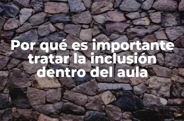 Por Qué es Importante Tratar la Inclusión Dentro Del Aula