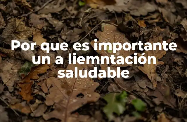 Por que es Importante un a Liemntación Saludable