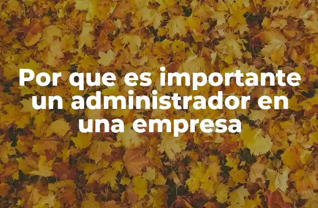 Por que es Importante un Administrador en una Empresa
