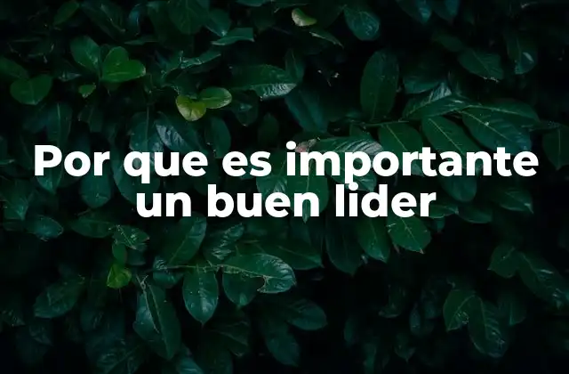 Por que es Importante un Buen Lider
