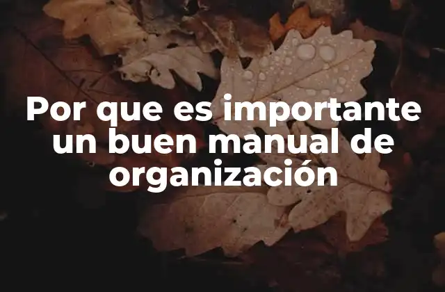 Por que es Importante un Buen Manual de Organización