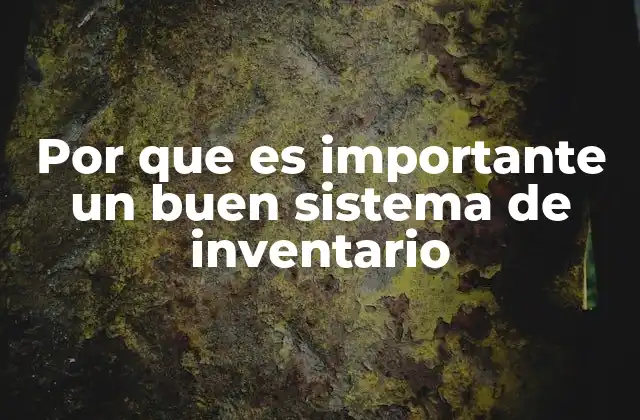 Por que es Importante un Buen Sistema de Inventario