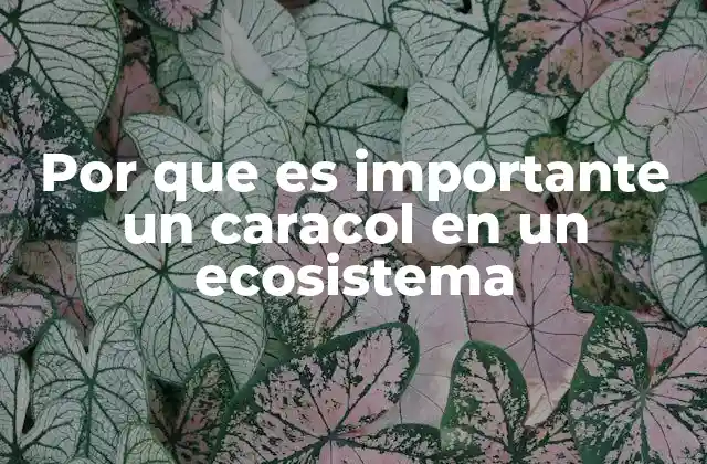 Por que es Importante un Caracol en un Ecosistema