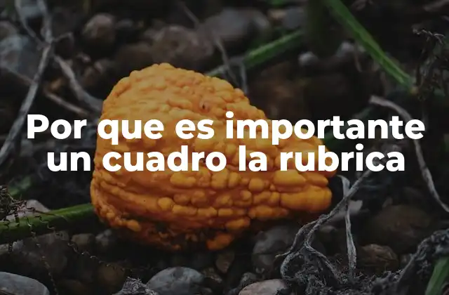 Por que es Importante un Cuadro la Rubrica