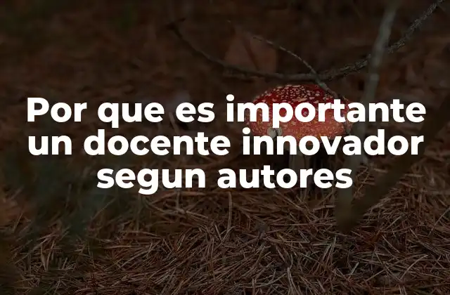 Por que es Importante un Docente Innovador Segun Autores