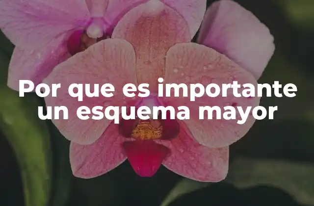 Por que es Importante un Esquema Mayor