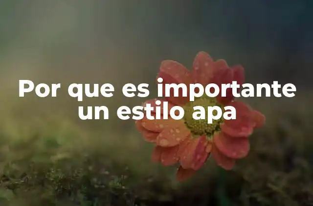 Por que es Importante un Estilo Apa