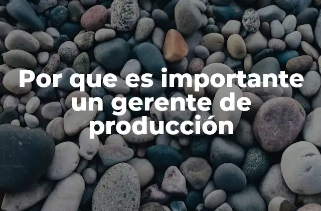 Por que es Importante un Gerente de Producción