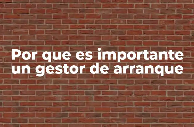 Por que es Importante un Gestor de Arranque