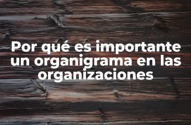 Por Qué es Importante un Organigrama en las Organizaciones