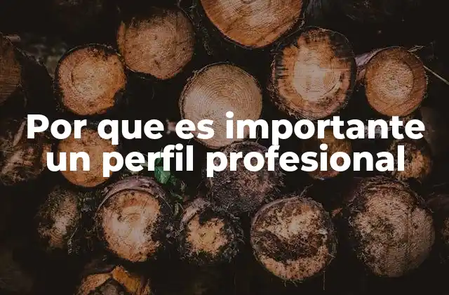 Por que es Importante un Perfil Profesional
