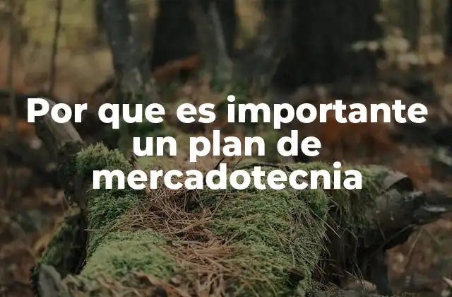 Por que es Importante un Plan de Mercadotecnia