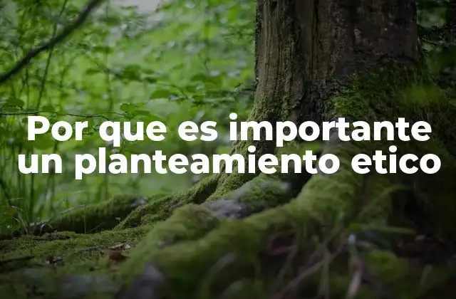 Por que es Importante un Planteamiento Etico