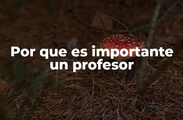 Por que es Importante un Profesor