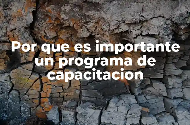 Por que es Importante un Programa de Capacitacion 2 El impacto de la formación continua en el desarrollo organizacional