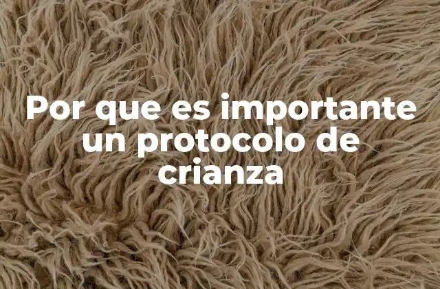 Por que es Importante un Protocolo de Crianza 2 Cómo un protocolo de crianza mejora la convivencia familiar