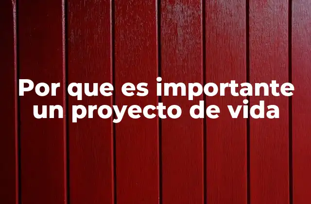 Por que es Importante un Proyecto de Vida