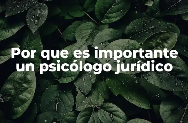 Por que es Importante un Psicólogo Jurídico