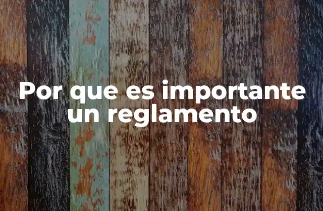 Por que es Importante un Reglamento