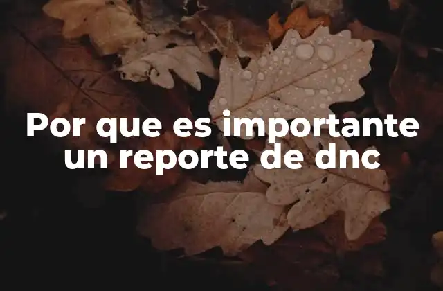 Por que es Importante un Reporte de Dnc