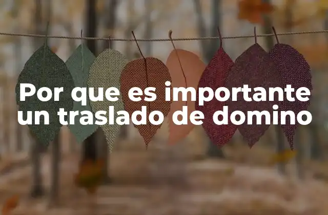 Por que es Importante un Traslado de Domino