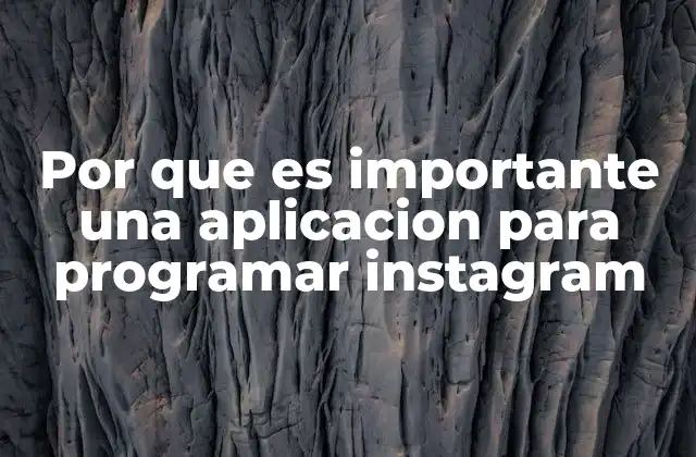 Por que es Importante una Aplicacion para Programar Instagram
