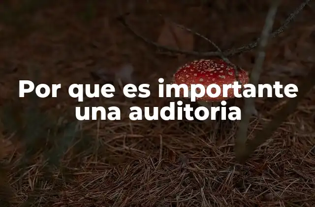 Por que es Importante una Auditoria