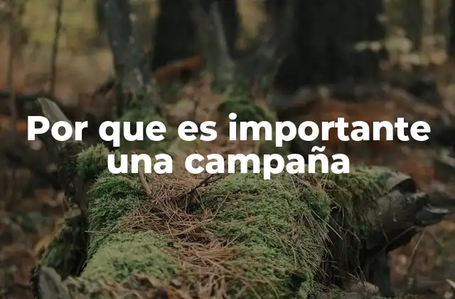 Por que es Importante una Campaña
