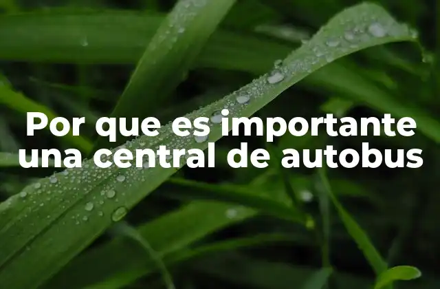Por que es Importante una Central de Autobus
