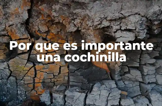Por que es Importante una Cochinilla