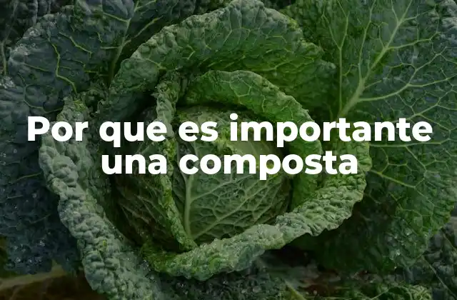 Por que es Importante una Composta