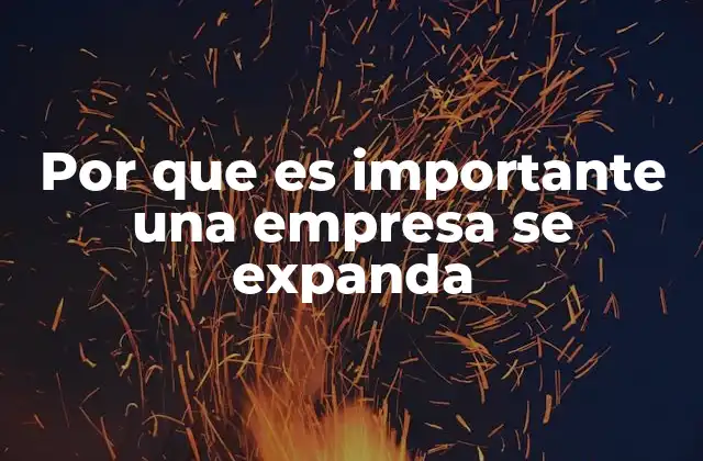 Por que es Importante una Empresa Se Expanda