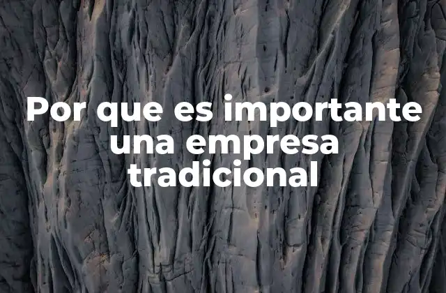 Por que es Importante una Empresa Tradicional 2 El valor de las organizaciones consolidadas en la economía