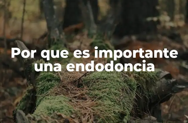 Por que es Importante una Endodoncia