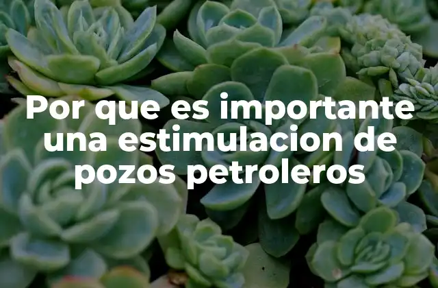 Por que es Importante una Estimulacion de Pozos Petroleros