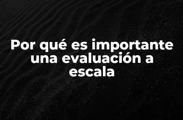 Por Qué es Importante una Evaluación a Escala