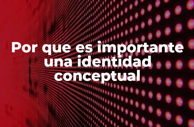 Por que es Importante una Identidad Conceptual
