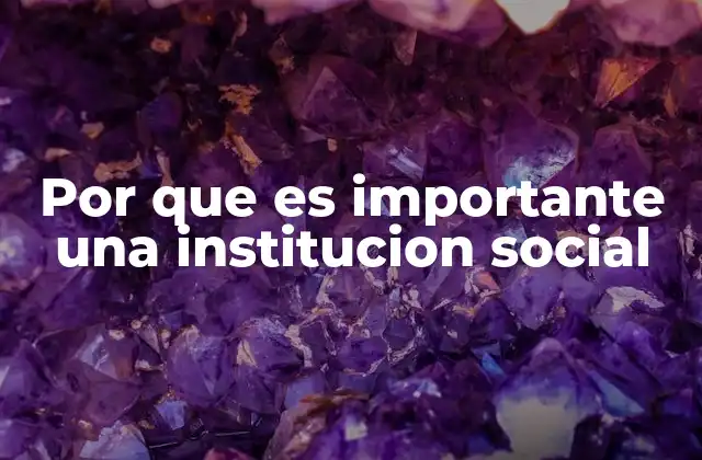 Por que es Importante una Institucion Social