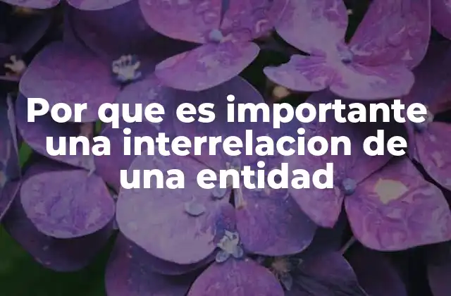 Por que es Importante una Interrelacion de una Entidad