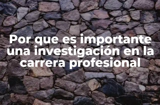 Por que es Importante una Investigación en la Carrera Profesional