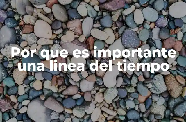 Por que es Importante una Linea Del Tiempo