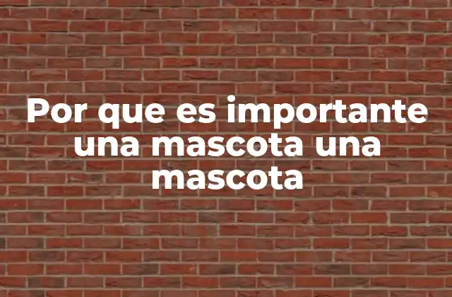 Por que es Importante una Mascota una Mascota